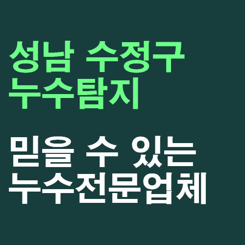 성남누수탐지